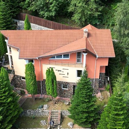 Marble Villa: Luxury Estate - Central But Intimate Sinaia Exterior photo