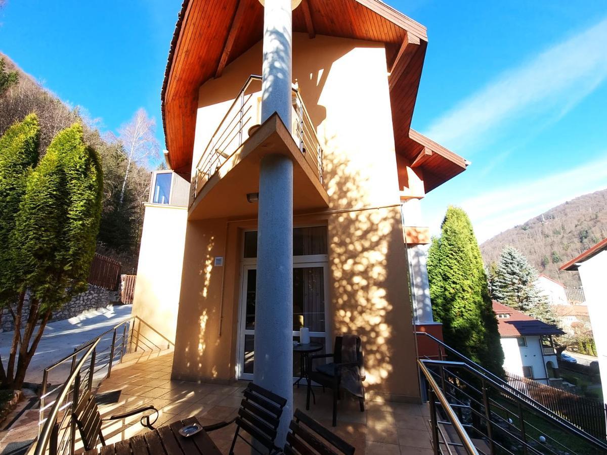 Marble Villa: Luxury Estate - Central But Intimate Sinaia Exterior photo