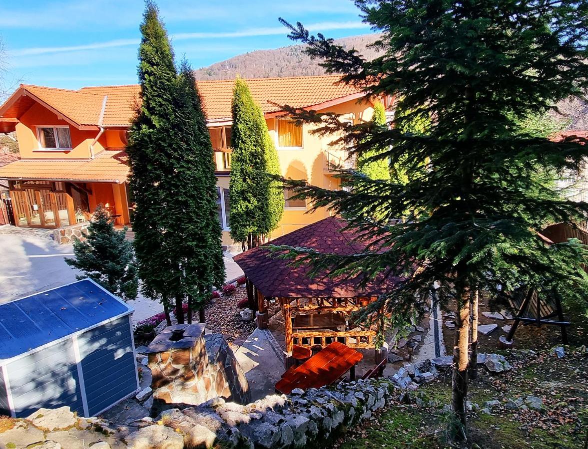 Marble Villa: Luxury Estate - Central But Intimate Sinaia Exterior photo
