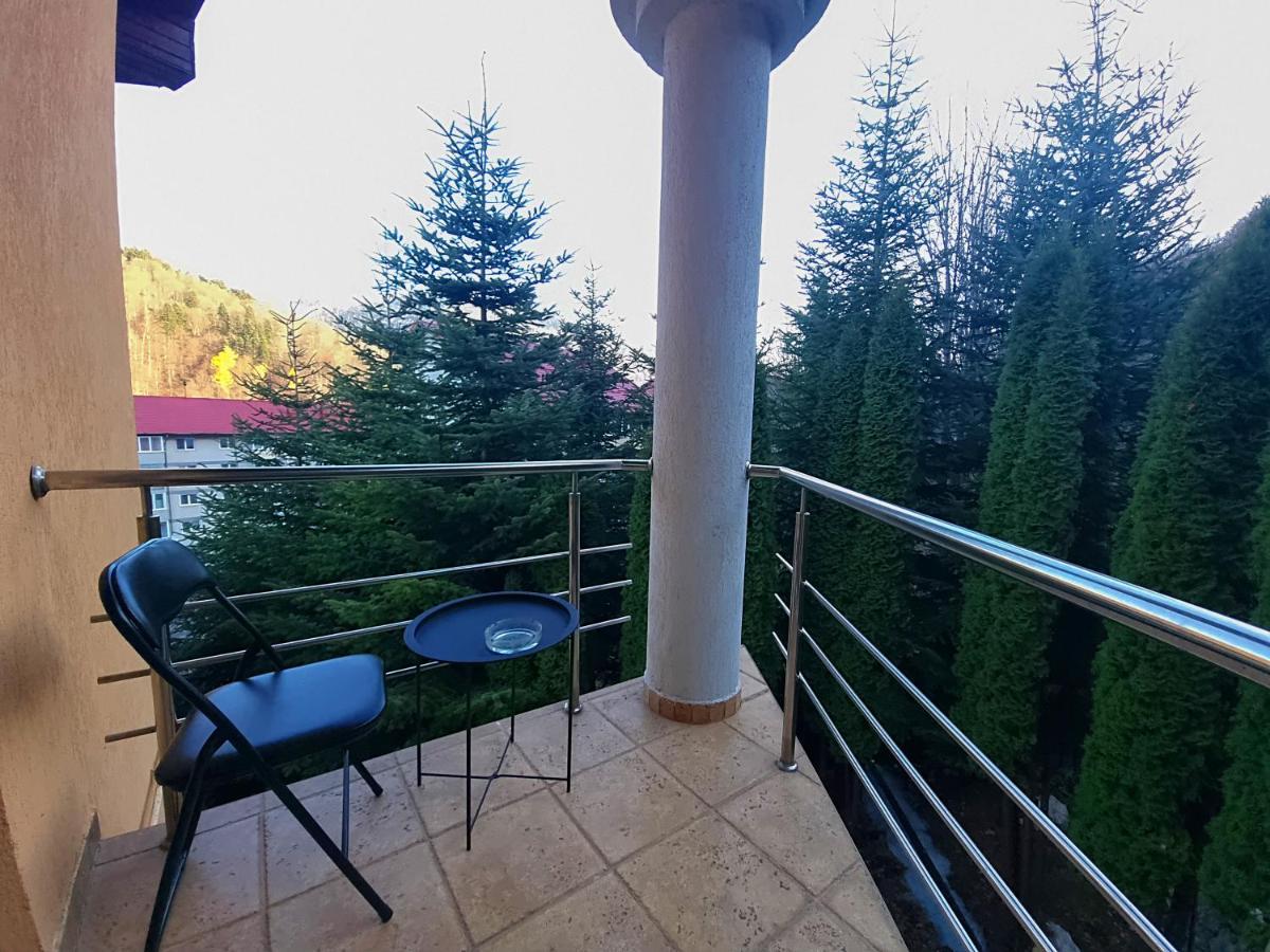 Marble Villa: Luxury Estate - Central But Intimate Sinaia Exterior photo