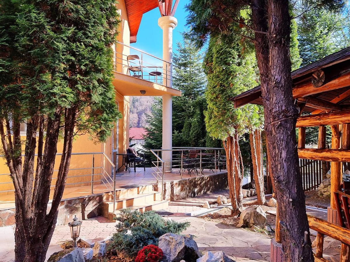 Marble Villa: Luxury Estate - Central But Intimate Sinaia Exterior photo