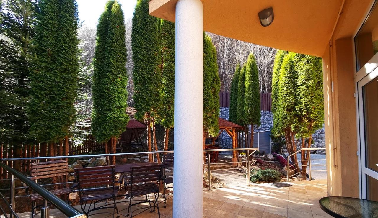 Marble Villa: Luxury Estate - Central But Intimate Sinaia Exterior photo