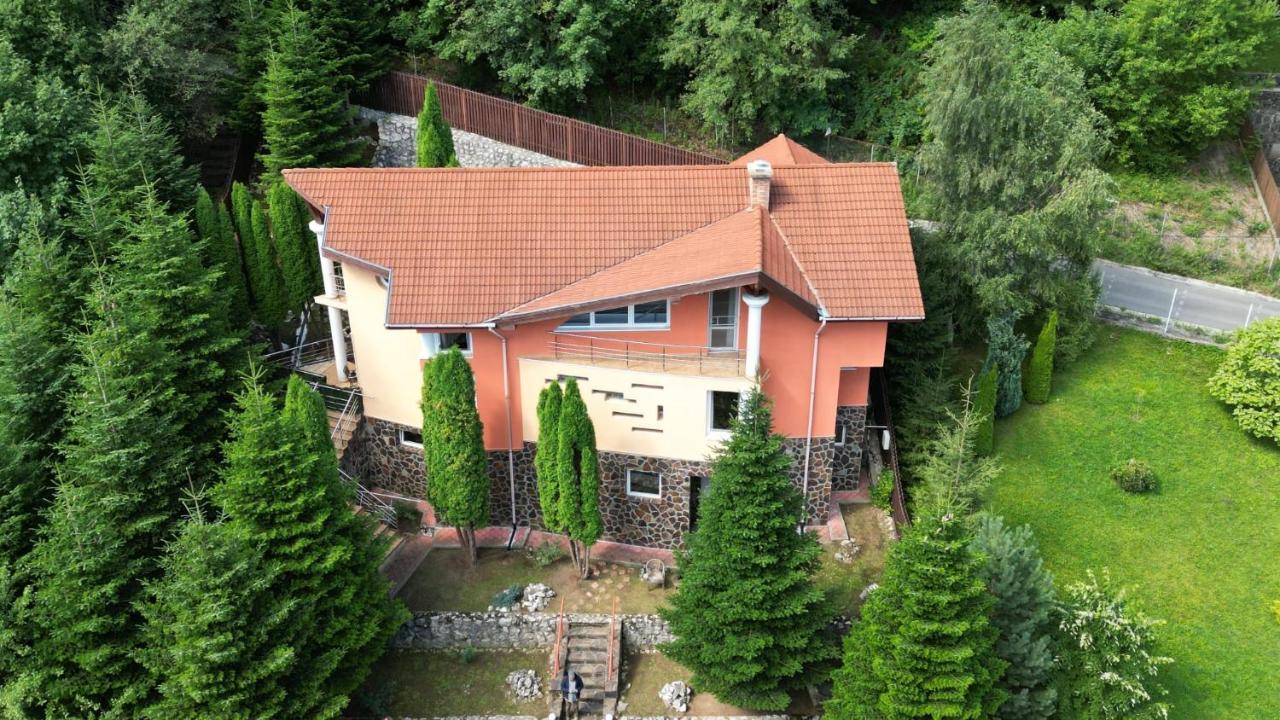 Marble Villa: Luxury Estate - Central But Intimate Sinaia Exterior photo